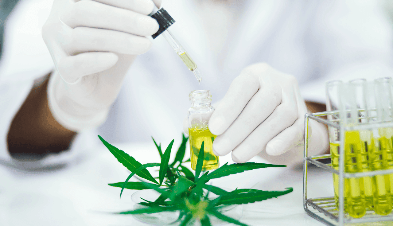 dr-becker-centralapotheke-cannabis-extract