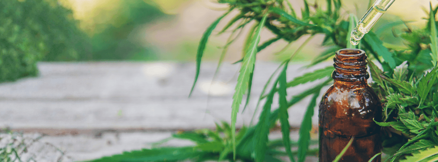 Cannabis Extrakt Fläschchen im Hintergrund eine Cannabis Pflanze